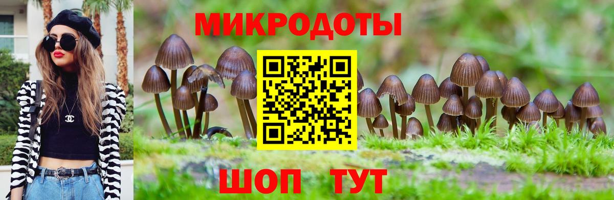 Мыски  Галлюциногенные грибы мухоморы  Вход с VPN 